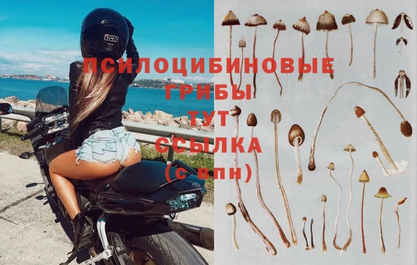 ALPHA PVP Алексеевка