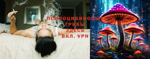 ALPHA PVP Алексеевка