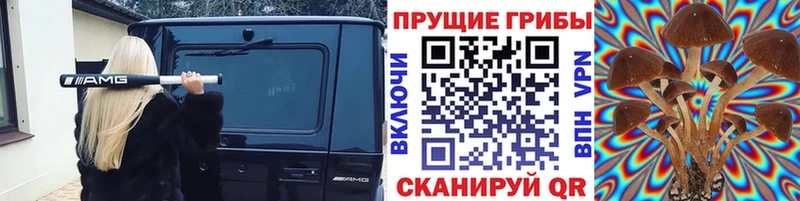 Галлюциногенные грибы Psilocybine cubensis  mega маркетплейс  Курчалой 
