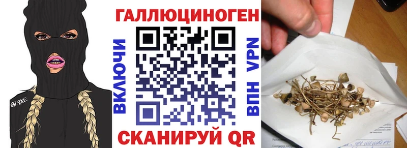 Псилоцибиновые грибы мухоморы Курчалой