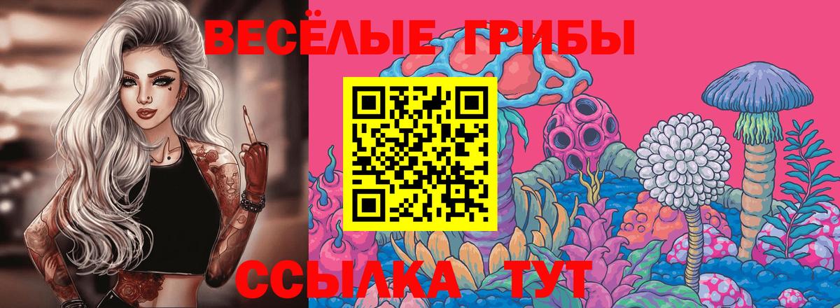 Курчалой  цена наркотик  Вход с VPN  Галлюциногенные грибы мицелий 