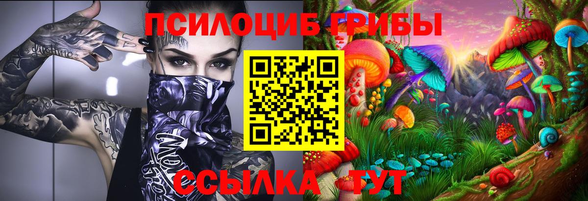 Псилоцибиновые грибы ЛСД Курчалой