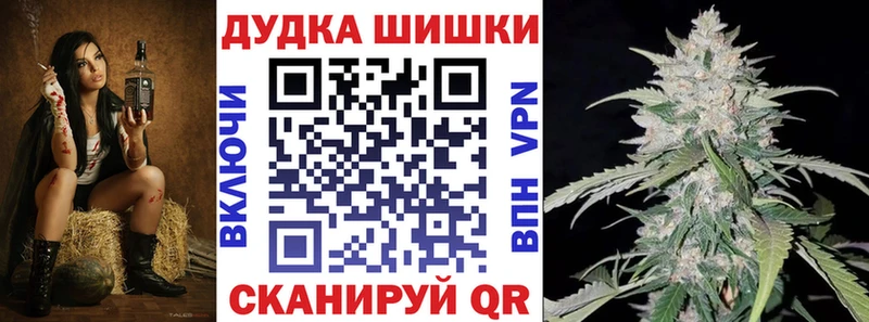 Бошки Шишки Amnesia Курчалой